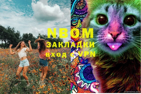 соль ск Белокуриха