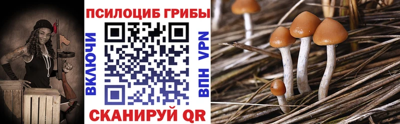 Псилоцибиновые грибы MAGIC MUSHROOMS  наркошоп  Ульяновск 